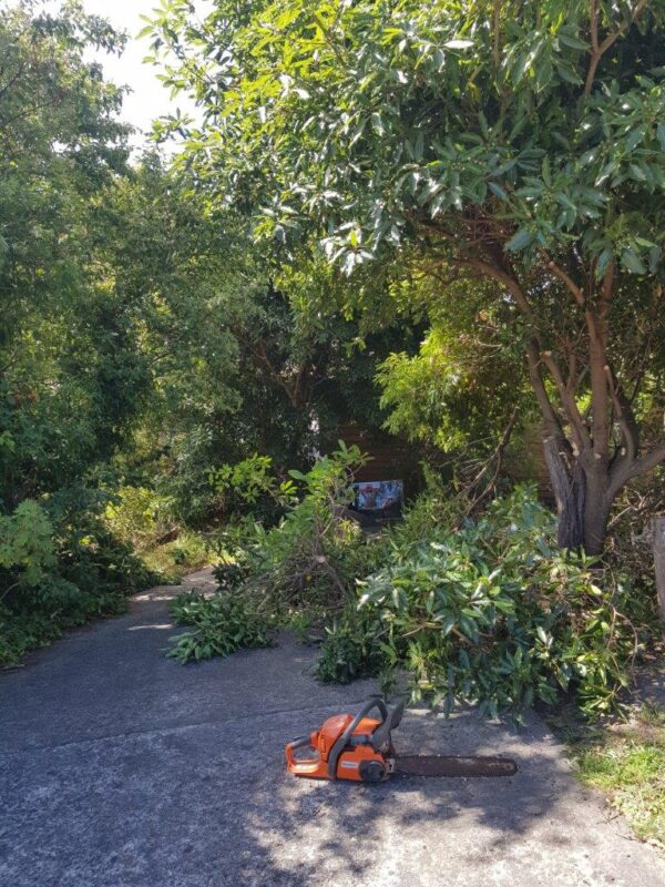 lawn mowing services Rosebud